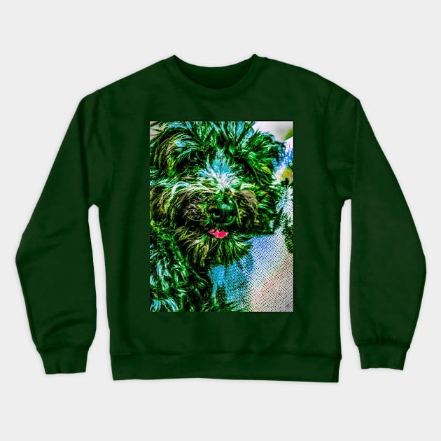 Toxie Daisy Crewneck Sweatshirt by lowen morrison